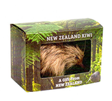 Spotted Kiwi - KIW1
