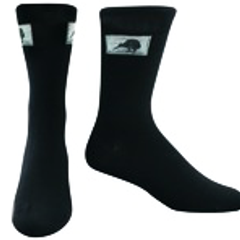 Framed Kiwi Men's Merino Socks - SK387
