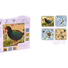 New Zealand Birds & Maps Foil Coasters - COAS44
