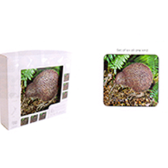 Kiwi Foil Coasters - COAS53