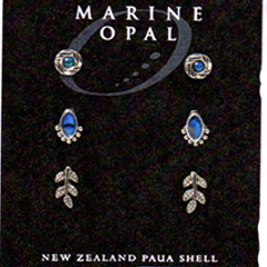 Paua Earrings - MOE149