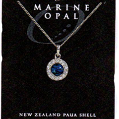 Paua Fine Chain Necklace - PJS171