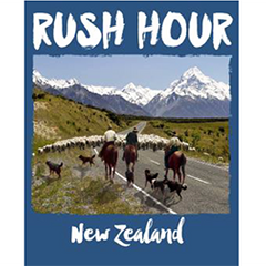 Rush Hour New Zealand - GT503-74