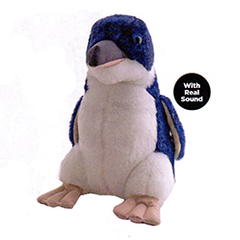 Little Blue Penguin - WA06L