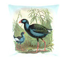 Pukeko Cushion Cover - CV424