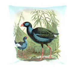 Pukeko Cushion Cover - CV424