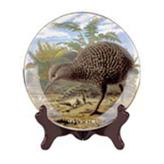 Kiwi Plate - PP415