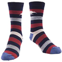 Kiwi Block Stripe Men's Merino Socks - SK392MAR