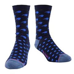 Kiwi & Spots Men's Merino Socks - SK394NAV