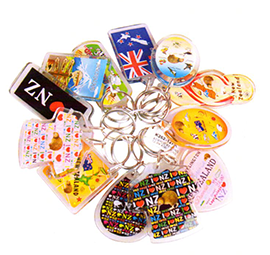 Set of 12 Assorted Kiwi Icon Key Rings - K262-12PK