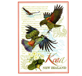 Kea NZ Designer Tea Towel - 65183