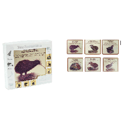 New Zealand Birds Coasters - COAS40