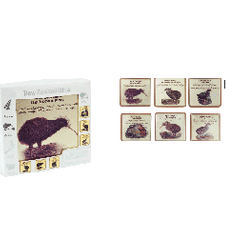 New Zealand Birds Coasters - COAS40