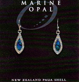Paua Earrings - MOE127