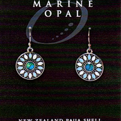 Paua Earrings - MOE136