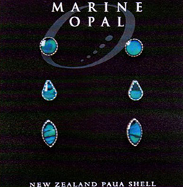 Paua Earrings - MOE140