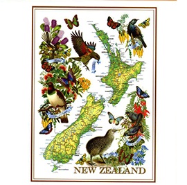 New Zealand Map Designer Tea Towel - 65180