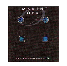 Paua Earrings - MOE93
