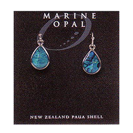 Paua Earrings - MOE61