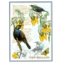 Tui NZ Designer Tea Towel - 65182