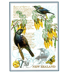 Tui NZ Designer Tea Towel - 65182